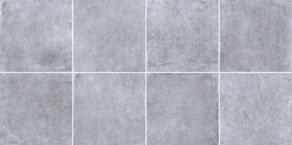 Grey Evo — изображение 2