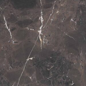 La geotica Negresco