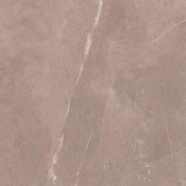 Pulpis Tortora — изображение 2