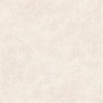 Rectus grey