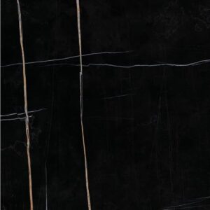 Sahara Noir
